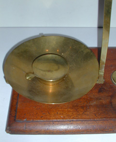 Scale Detail
