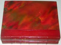 Brunelleschi Illustrated