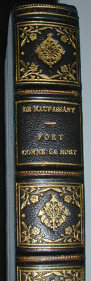 Maupassant Spine Detail
