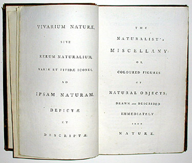 title page