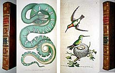 Shaw and Nodder Natural History Print Books