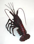 Spiny (Rock) Lobster