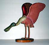 Spinney Spoonbill Folk Art Sculpture