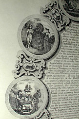 detail