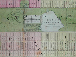 Central Park Detail