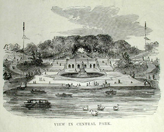 detail: Park