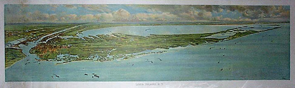 Long Island View