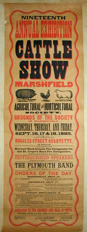 Cattle Poster