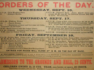Cattle Poster