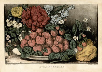 Currier Strawberries