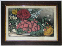 Currier Strawberries