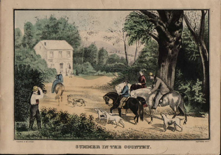 Summer in the Country