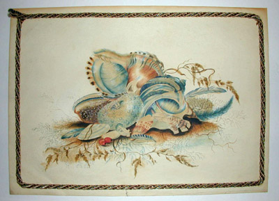 Pair of Seashell Still Lifes