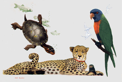 Mel Hunter's Pets of the World