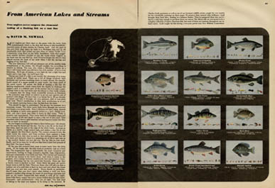 Liedl Esquire Article