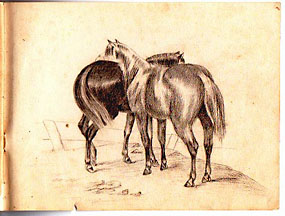 sketch: hoses at rest