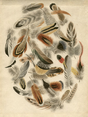 Feathers