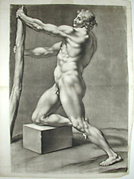 Academic Male Nude Study