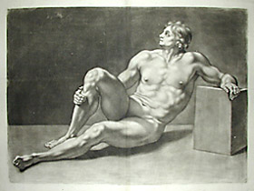 Academic Male Nude Study