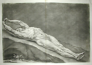 Academic Male Nude Study