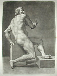 Academic Male Nude Study
