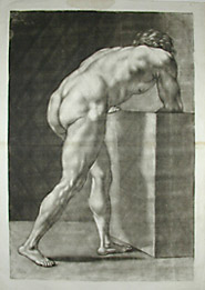 Academic Male Nude Study