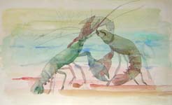 Lobsters Fighting