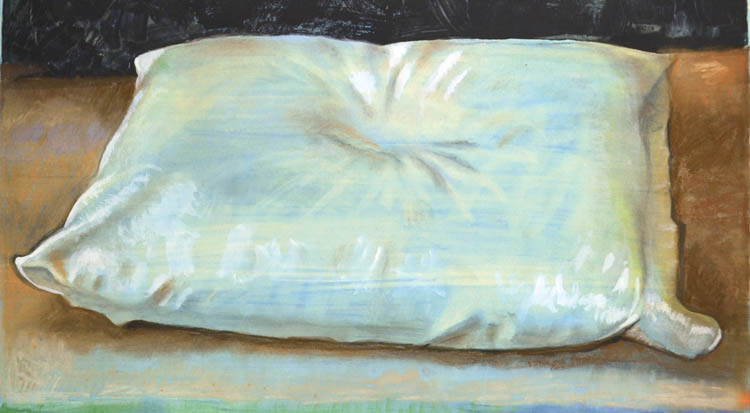 Pillow Watercolor by Richard A. de Menocal