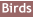 Go to Birds Archive Page