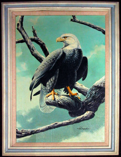 Bald Eagle Perched in a Tree