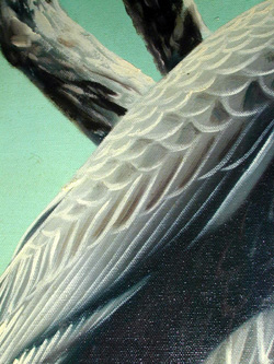 Wing Detail