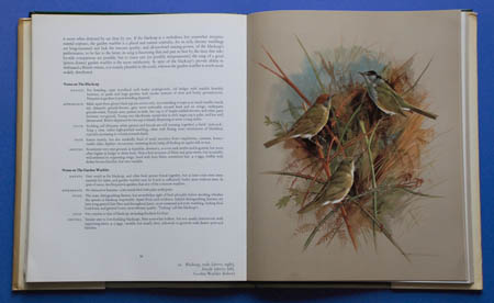 Illustration in book