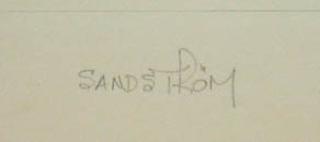 Ivory-billed Woodpeckers detail