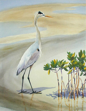 Great Egret