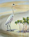 Great Egret, c. 1900