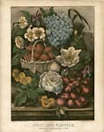 Flower and Fruit Still Life