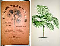 French Palm Tree Book