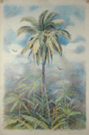Hartman Florida Palm