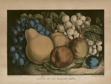 Fruits of the Golden Land