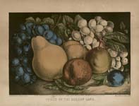 Botanical Fruit print