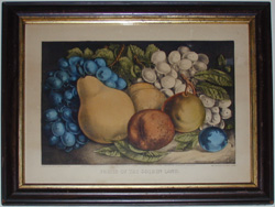 Fruits of the Golden Land Framed