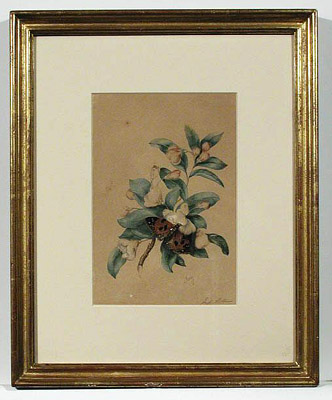 Flowering Tree Branch and Butterfly framed