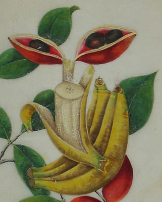 Chinese pith painting of bananas