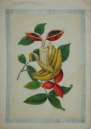 Chinese pith painting of bananas