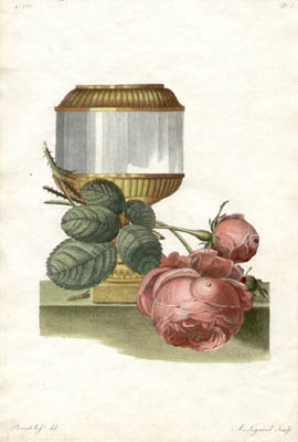 Roses and Vase