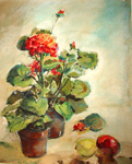 Ruth Leaf Geraniums