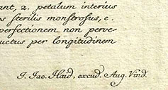 detail: engraved name