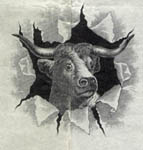 Union Bank Note Specimen Sheet