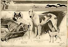Sketches at the Ladies Kennel Association