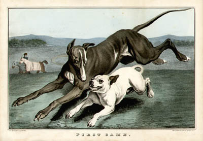 First Game dog print